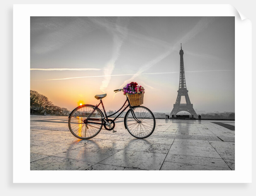 Bicycle and Eiffel tower by Assaf Frank